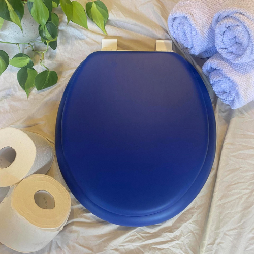 Royal Blue Padded Toilet Seat