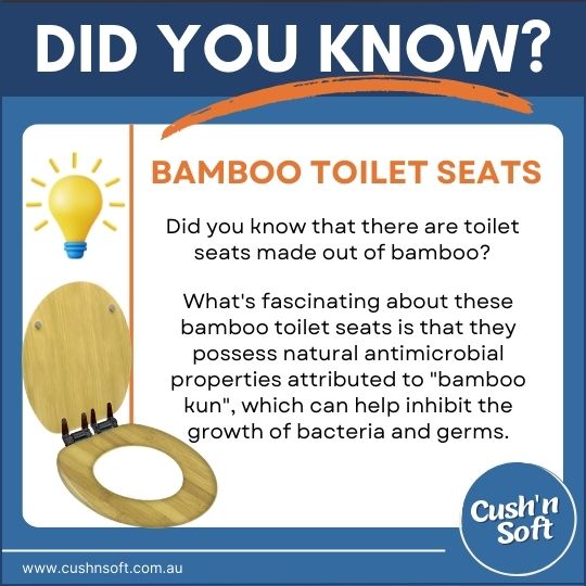 Fact about toilet seats
